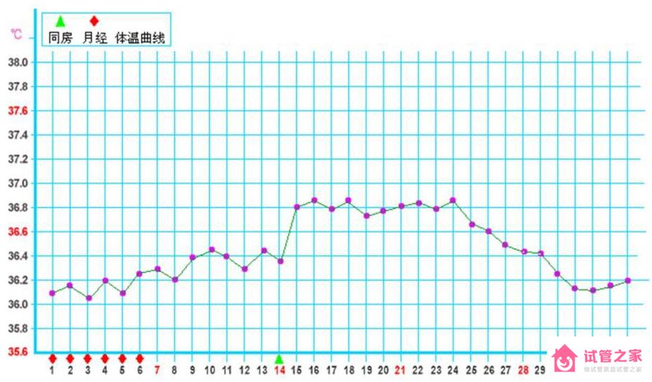 基礎(chǔ)體溫如何測(cè)量？懷孕期間基礎(chǔ)體溫的大致變化