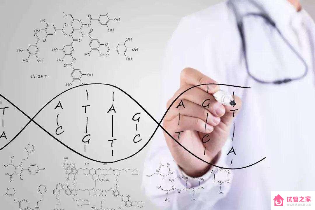 高齡且*巢早衰需要做幾次試管才得以成功？