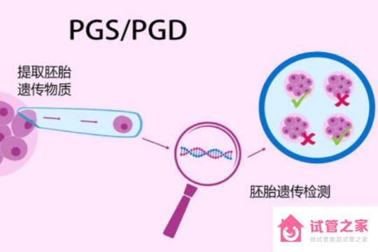 輸*管切除做試管嬰兒成功率高嗎