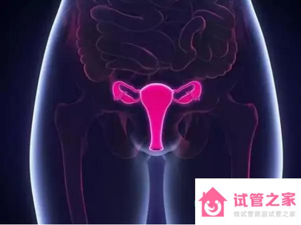 30歲女性amh值低至0.5怎么辦？怎么調(diào)理？