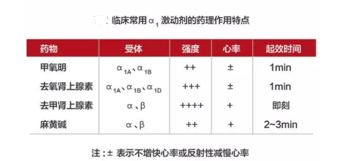 細(xì)說(shuō)腎上腺素能受體