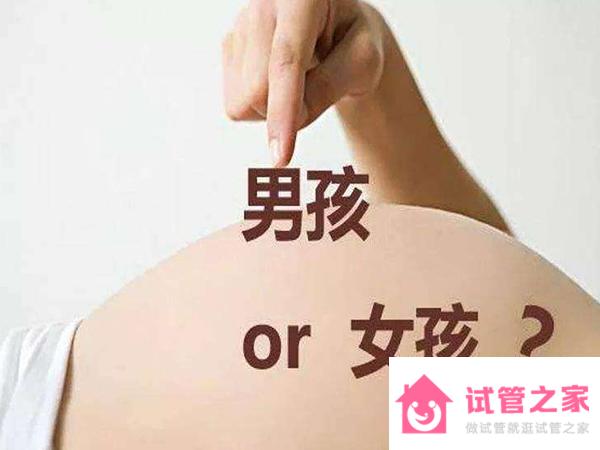 正常夫婦做試管嬰兒想生男孩費(fèi)用大約多少錢？