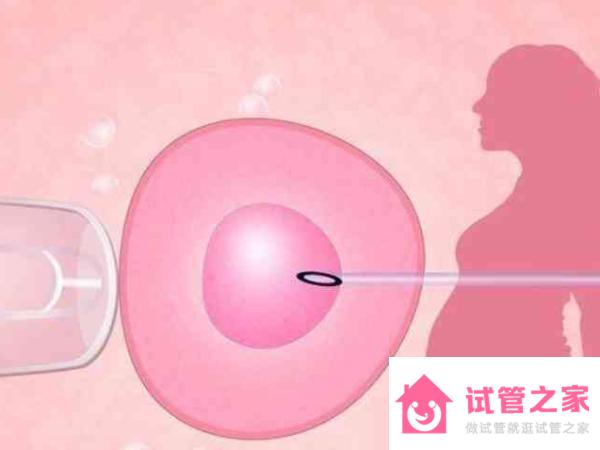 女性先天性始基子宮手術融合后可以做試管嬰兒生孩子嗎？