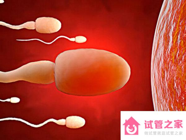 試管嬰兒會優(yōu)先原則a、b級的精子用于受精