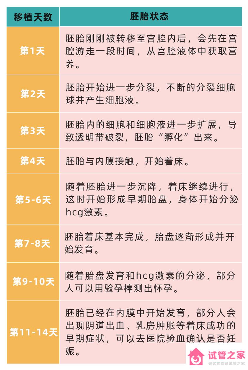 D3和D5的胚胎著床時(shí)間，移植前、后全方面知識(shí)點(diǎn)有這些