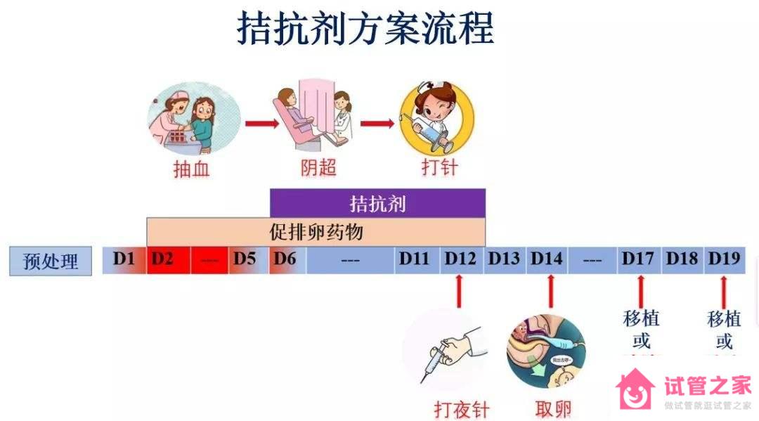 什么是拮抗劑方案？拮抗劑方案的利與弊