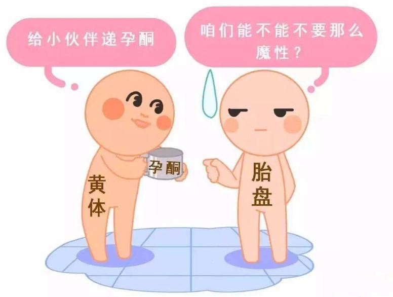 試管嬰兒移植后，為什么會出現(xiàn)孕酮降低的現(xiàn)象？