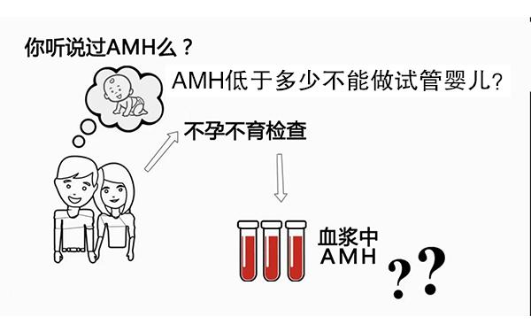 AMH是什么？AMH低于多少不能做試管嬰兒？