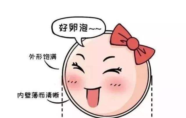 做試管嬰兒，*泡發(fā)育不完全怎么辦？