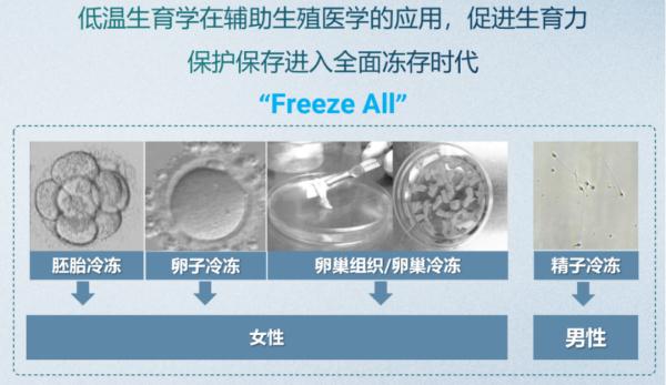 輔助生殖技術(shù)發(fā)展到了哪一步？