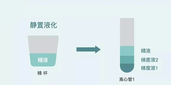 人工授精是如何洗滌男性精子的？求操作流程分享！