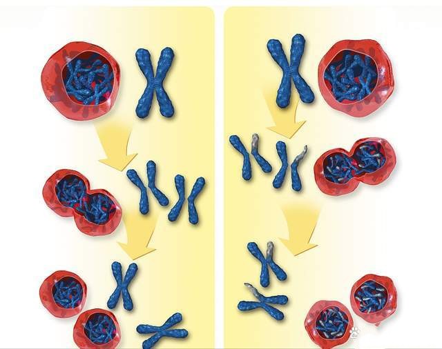 什么是染色體異常？