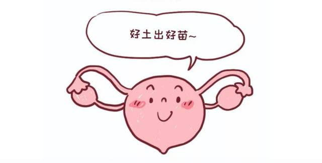 試管嬰兒如何保養(yǎng)子宮內(nèi)膜提高妊娠率？