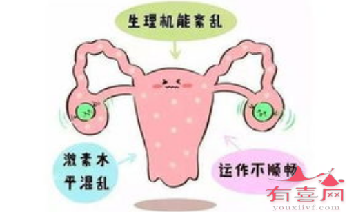 改善女性激素六項怎么調(diào)理