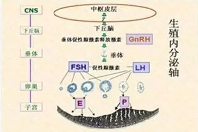 *子排出的時(shí)候會(huì)有什么感覺呢？