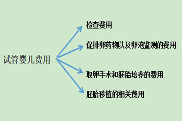 試管嬰兒費(fèi)用貴不貴需要多少錢？一*至三*費(fèi)用詳細(xì)