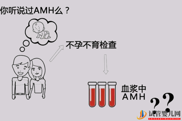 amh0.11想懷孕要看有多少*泡