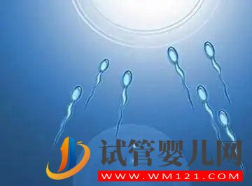 無(wú)精癥怎樣可以恢復(fù)精子