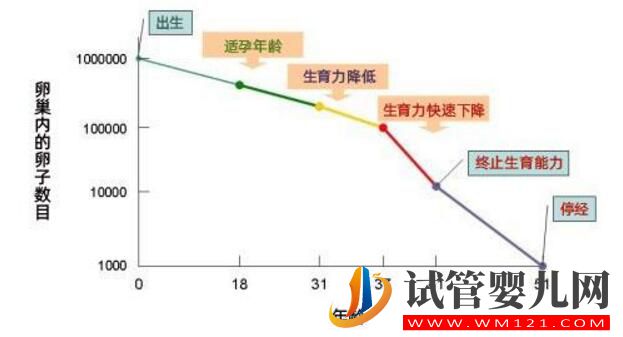 為什么做試管嬰兒要趁早？年齡才是阻礙女性生育的敵人