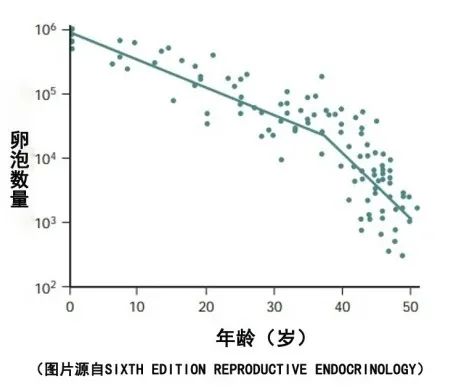 淺談線粒體與*子老化之間的關(guān)系！線粒體在*巢衰老中扮演的角色 ...