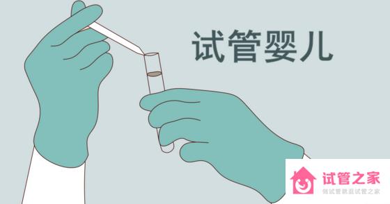 三*試管流程及篩查費(fèi)用