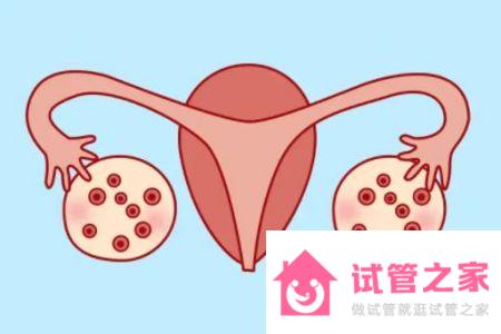 解惑：40歲多囊做試管成功率怎么樣？