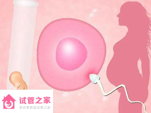 男人無(wú)精子做試管嬰兒但沒(méi)做親子鑒定是親生的嗎？