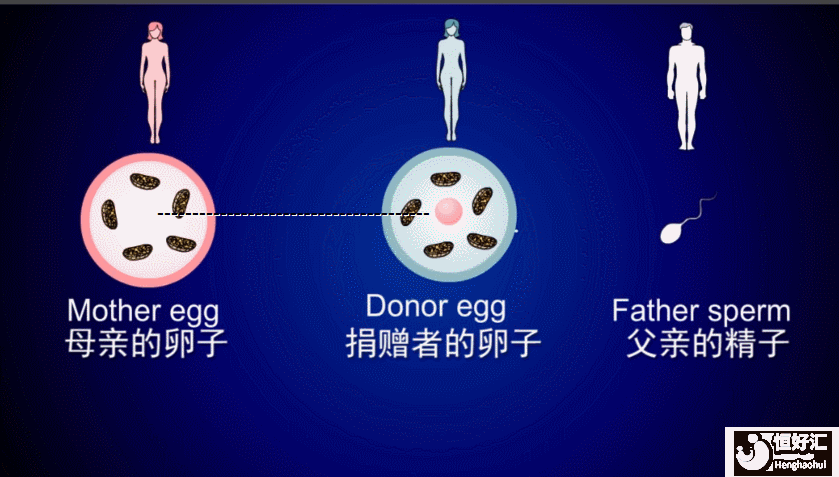 第四*試管嬰兒技術(shù)已經(jīng)應(yīng)用了，是真的嗎？