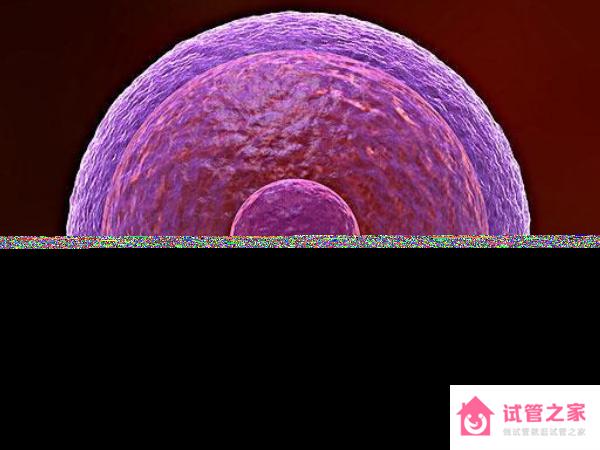 深度解析做試管為何有“空*泡”，其含義又是什么