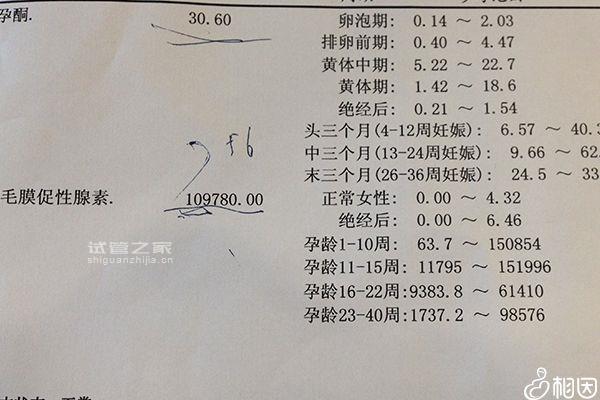 5bc囊胚移植后第六天測兩條杠要注意，第九天沒了不在少數(shù)