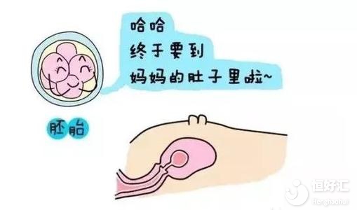 試管嬰兒移植后見紅是喜事？看完才知道不簡(jiǎn)單