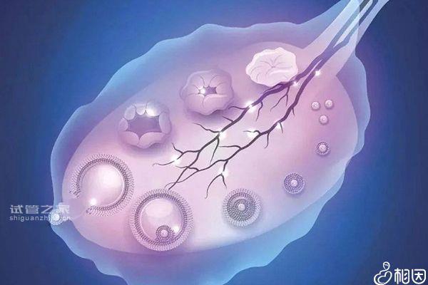 別還不造降調(diào)第八天b超能查出什么，*巢內(nèi)啥也沒有要留心