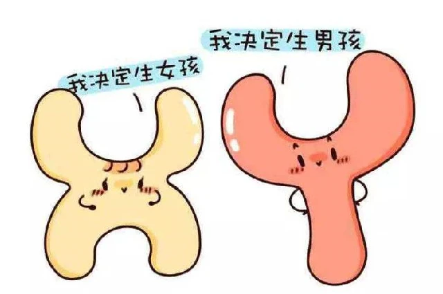 做試管，是男孩多還是女孩多呢？為此生殖醫(yī)生專門研究了一番 ...