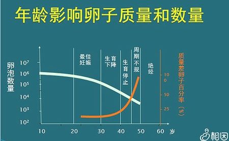 只需三招教你判斷是腰肌勞損，5個(gè)小妙招進(jìn)行緩解疼痛！