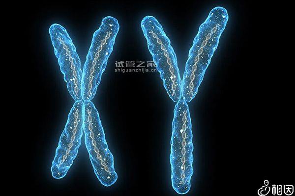 判斷孩子是否親生最全方法在這，染色體鑒定準確率99.9%