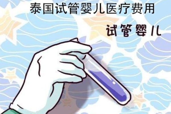 到泰國試管嬰兒要花多少錢？總費用給你算個明白！