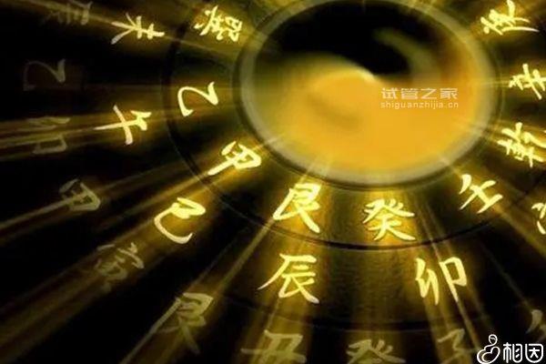 2023年紅鸞入命三大生肖盤點(diǎn)，屬虎男或遇良緣