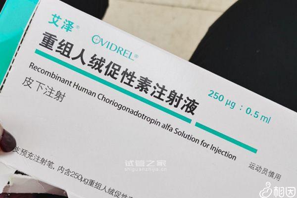 60s弄清夜針艾澤和達必佳的區(qū)別，一起打有什么作用速覽