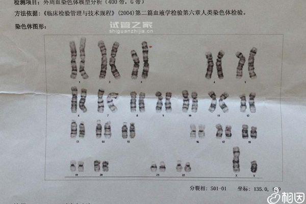 試管嬰兒第一次不止檢查染色體異常！這些項目也必不可少