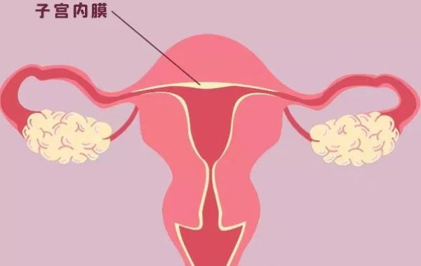 試管移植前子宮內(nèi)膜形態(tài)不好要繼續(xù)移植嗎?