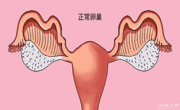 卵巢早衰的治療方法有哪些？做試管能懷孕嗎？