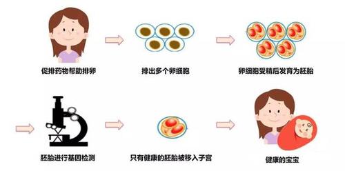 2023國內十大供卵機構排名，附國內正規(guī)供卵機構排名？