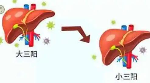 乙肝大三陽做試管阻斷做幾代試管好？