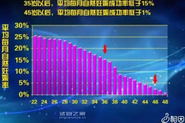 五代試管嬰兒能不能成功生孩子來瞧，專家都幫你總結了