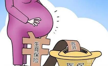 2024生育保險(xiǎn)能報(bào)銷多少錢？男女都能報(bào)銷嗎？