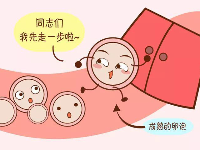 輸卵管內(nèi)積水會導(dǎo)致的癥狀？還能做試管嗎？