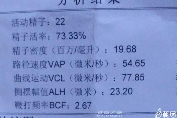 不確定精子向前運動10%還能否試管生育的瞧，60s全了解