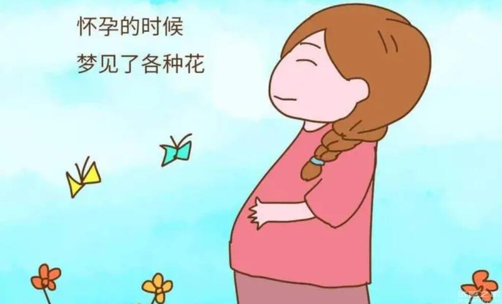 為什么想生女兒卻總是生兒子費(fèi)用貴嗎多少錢？