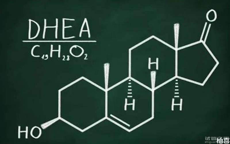 amh0.21做試管并非沒懷孕希望！促排成功卵泡數(shù)量也不少