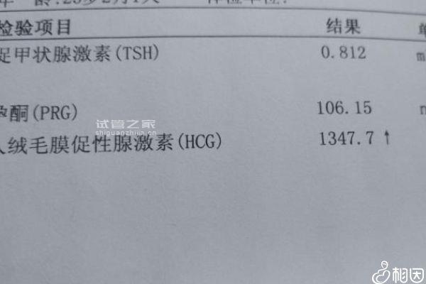 60s剖析同天移植凍胚為什么別人驗孕棒兩道杠明顯，趕快get